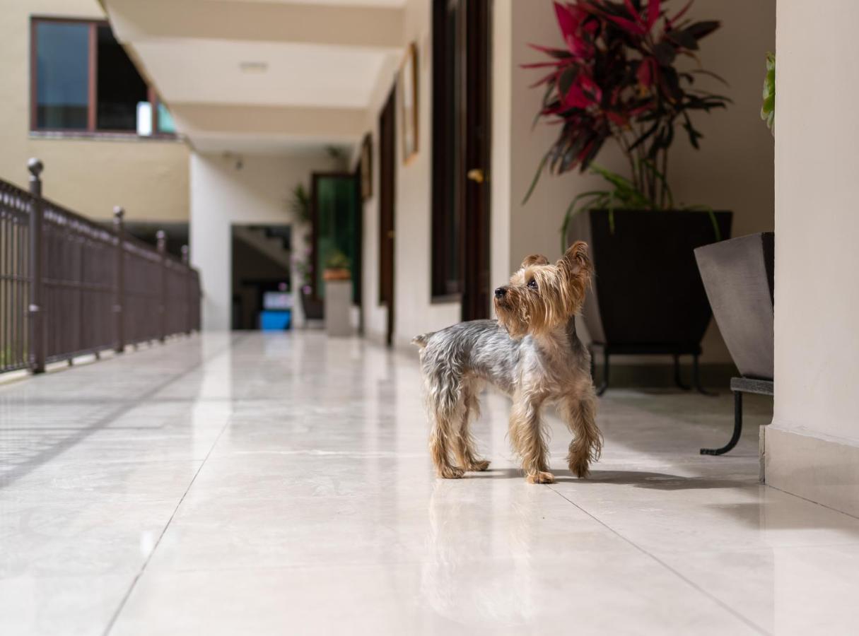Casa De Las Flores Hotel Oaxaca Kültér fotó