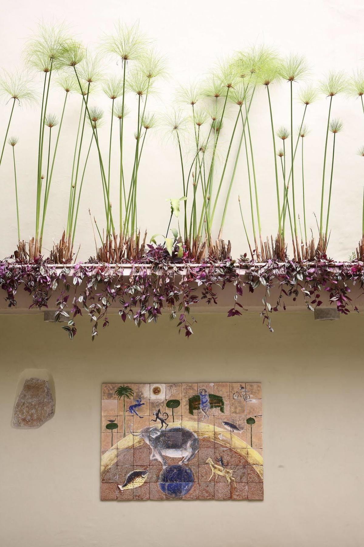 Casa De Las Flores Hotel Oaxaca Kültér fotó